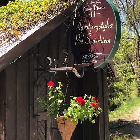 Agroturystyka Pod Swierkiem Srebrna Góra المظهر الخارجي الصورة