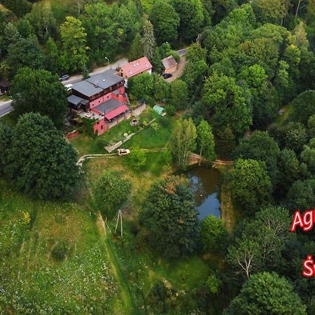 Agroturystyka Pod Swierkiem Srebrna Góra المظهر الخارجي الصورة