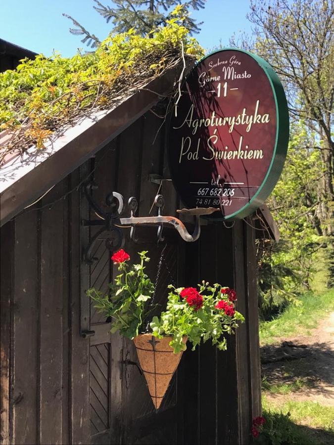 Agroturystyka Pod Swierkiem Srebrna Góra المظهر الخارجي الصورة