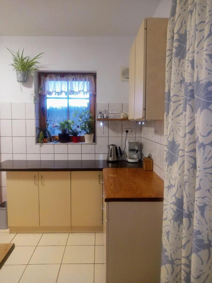 Agroturystyka Pod Swierkiem Srebrna Góra المظهر الخارجي الصورة